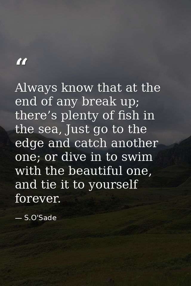 Always know that at the end of any break up; there’s plenty of fish in the sea, Just go to the edge and catch another on — S.O'Sade