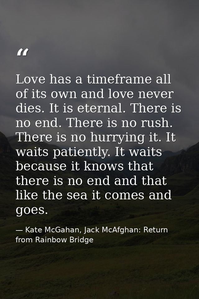 Love has a timeframe all of its own and love never dies. It is eternal. There is no end. There is no rush. There is no h — Kate McGahan, Jack McAfghan: Return from Rainbow Bridge