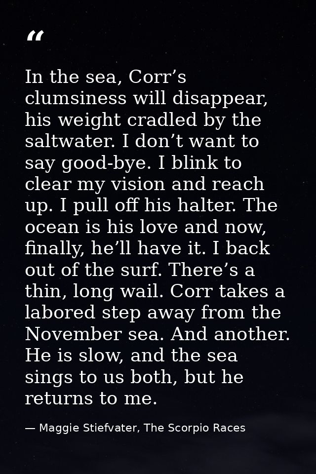 In the sea, Corr’s clumsiness will disappear, his weight cradled by the saltwater. I don’t want to say good-bye. I blink — Maggie Stiefvater, The Scorpio Races