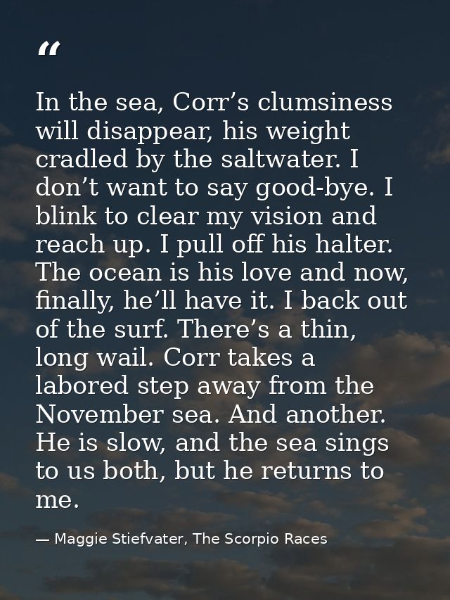 In the sea, Corr’s clumsiness will disappear, his weight cradled by the saltwater. I don’t want to say good-bye. I blink — Maggie Stiefvater, The Scorpio Races