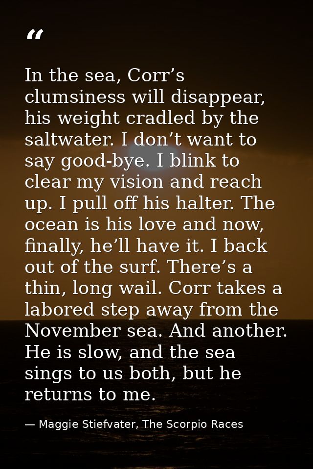 In the sea, Corr’s clumsiness will disappear, his weight cradled by the saltwater. I don’t want to say good-bye. I blink — Maggie Stiefvater, The Scorpio Races