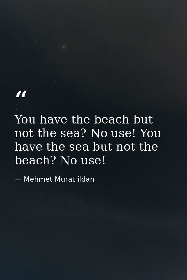 You have the beach but not the sea? No use! You have the sea but not the beach? No use! — Mehmet Murat ildan