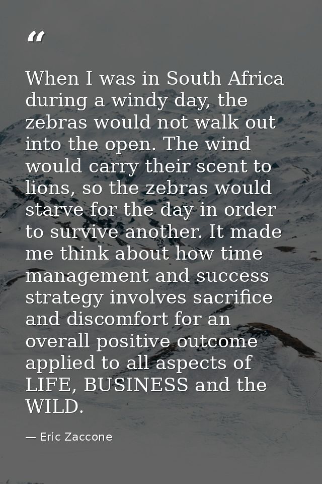 When I was in South Africa during a windy day, the zebras would not walk out into the open. The wind would carry their s — Eric Zaccone