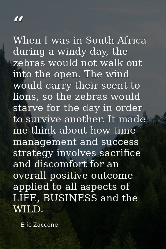 When I was in South Africa during a windy day, the zebras would not walk out into the open. The wind would carry their s — Eric Zaccone