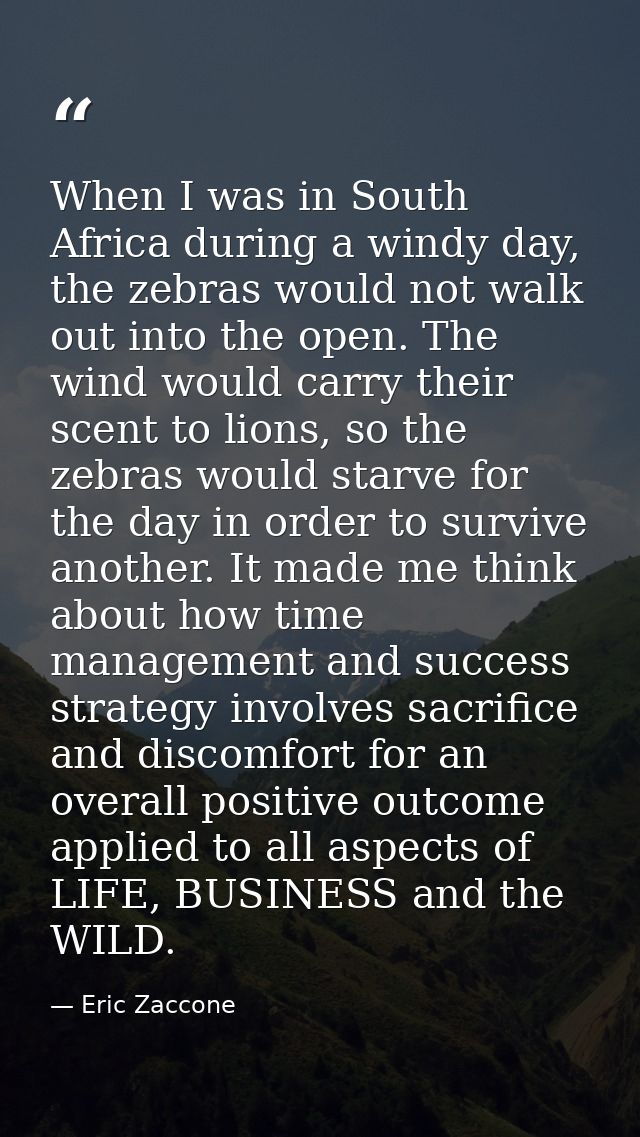 When I was in South Africa during a windy day, the zebras would not walk out into the open. The wind would carry their s — Eric Zaccone