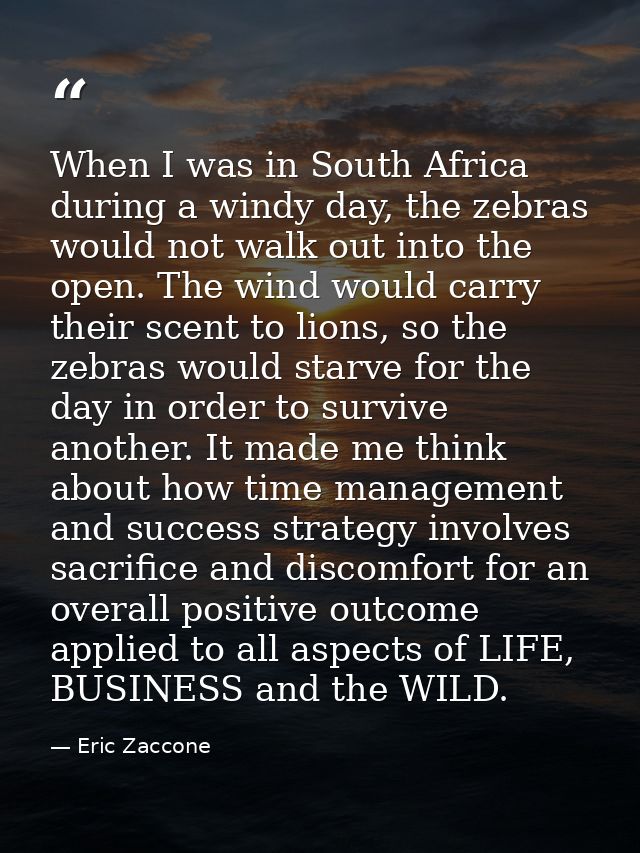 When I was in South Africa during a windy day, the zebras would not walk out into the open. The wind would carry their s — Eric Zaccone