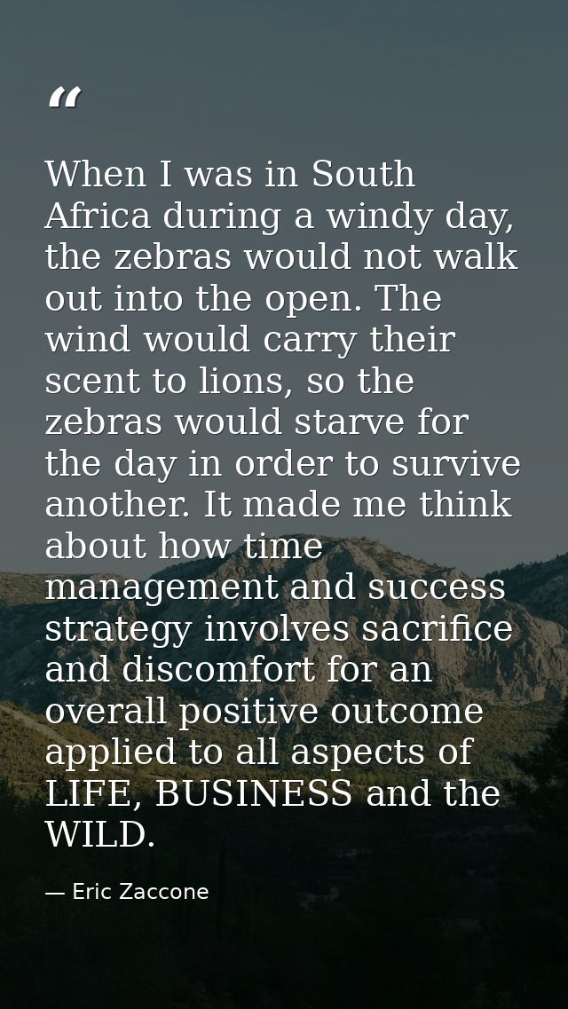 When I was in South Africa during a windy day, the zebras would not walk out into the open. The wind would carry their s — Eric Zaccone