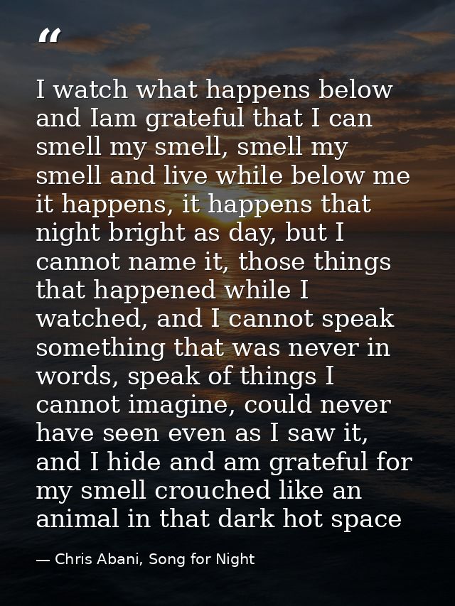 I watch what happens below and Iam grateful that I can smell my smell, smell my smell and live while below me it happens — Chris Abani, Song for Night