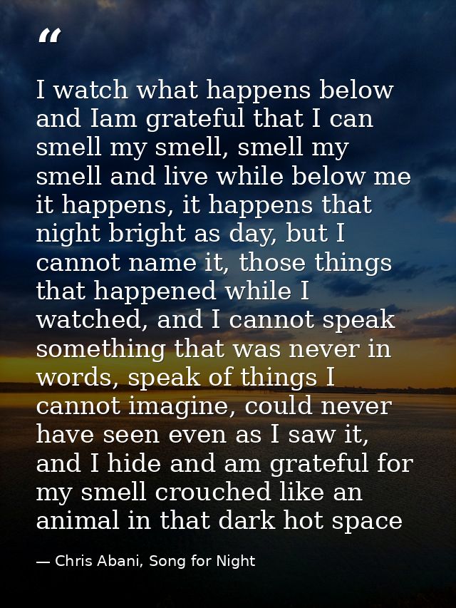 I watch what happens below and Iam grateful that I can smell my smell, smell my smell and live while below me it happens — Chris Abani, Song for Night