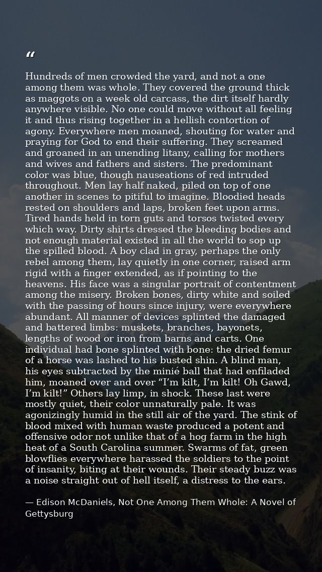 Hundreds of men crowded the yard, and not a one among them was whole. They covered the ground thick as maggots on a week — Edison McDaniels, Not One Among Them Whole: A Novel of Gettysburg