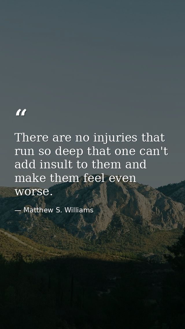 There are no injuries that run so deep that one can't add insult to them and make them feel even worse. — Matthew S. Williams