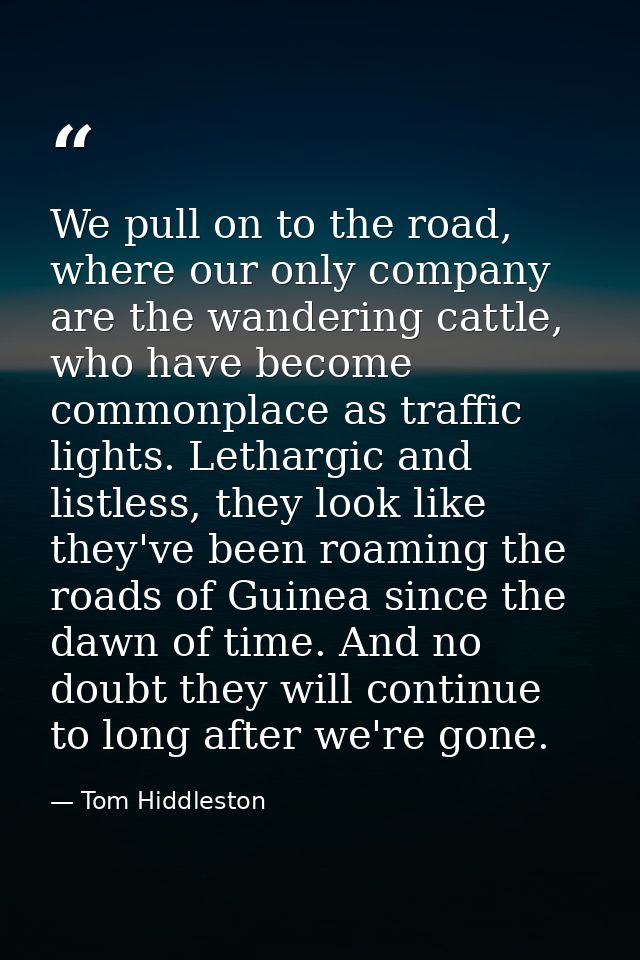 We pull on to the road, where our only company are the wandering cattle, who have become commonplace as traffic lights.  — Tom Hiddleston