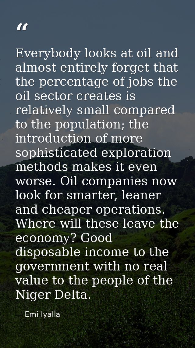 Everybody looks at oil and almost entirely forget that the percentage of jobs the oil sector creates is relatively small — Emi Iyalla