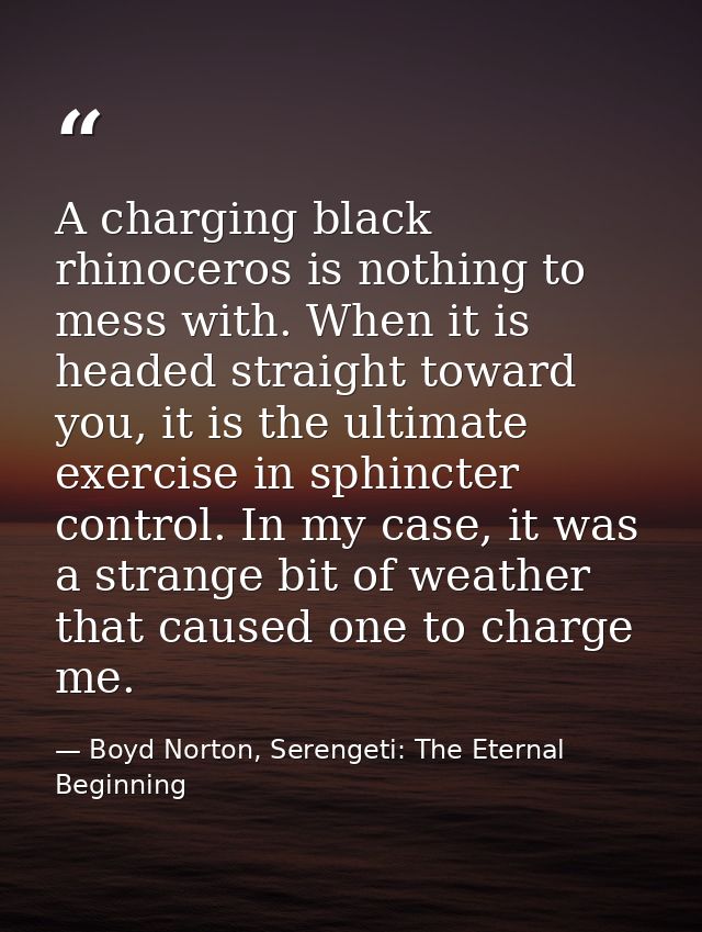 A charging black rhinoceros is nothing to mess with. When it is headed straight toward you, it is the ultimate exercise  — Boyd Norton, Serengeti: The Eternal Beginning