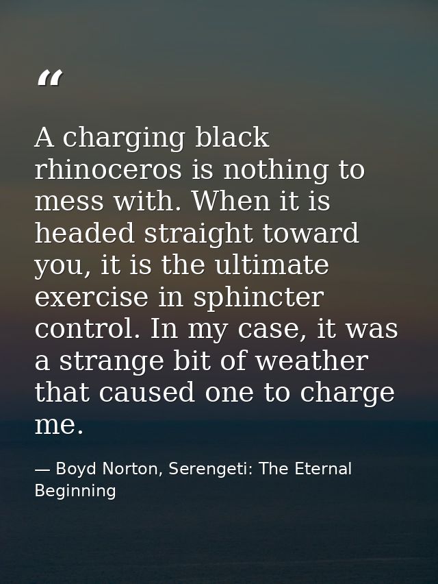 A charging black rhinoceros is nothing to mess with. When it is headed straight toward you, it is the ultimate exercise  — Boyd Norton, Serengeti: The Eternal Beginning