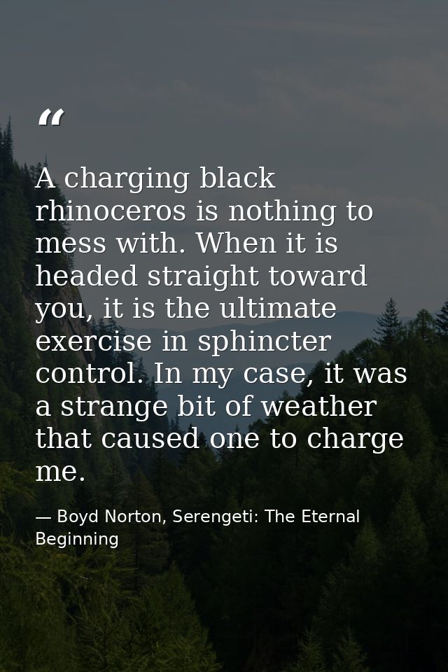 A charging black rhinoceros is nothing to mess with. When it is headed straight toward you, it is the ultimate exercise  — Boyd Norton, Serengeti: The Eternal Beginning