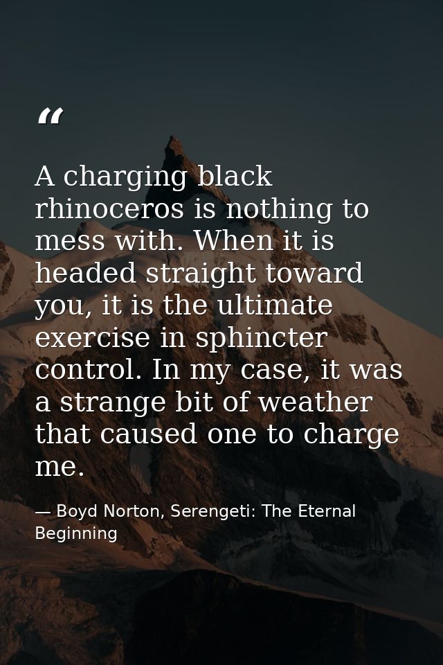 A charging black rhinoceros is nothing to mess with. When it is headed straight toward you, it is the ultimate exercise  — Boyd Norton, Serengeti: The Eternal Beginning
