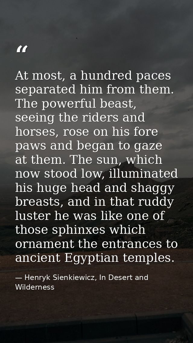 At most, a hundred paces separated him from them. The powerful beast, seeing the riders and horses, rose on his fore paw — Henryk Sienkiewicz, In Desert and Wilderness