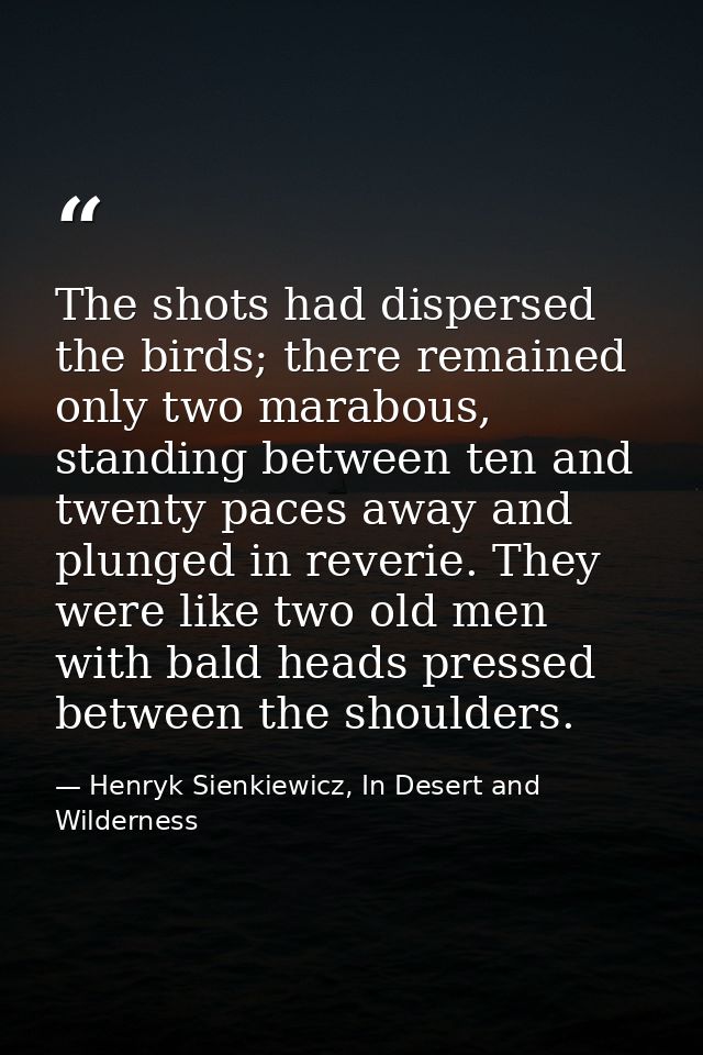 The shots had dispersed the birds; there remained only two marabous, standing between ten and twenty paces away and plun — Henryk Sienkiewicz, In Desert and Wilderness