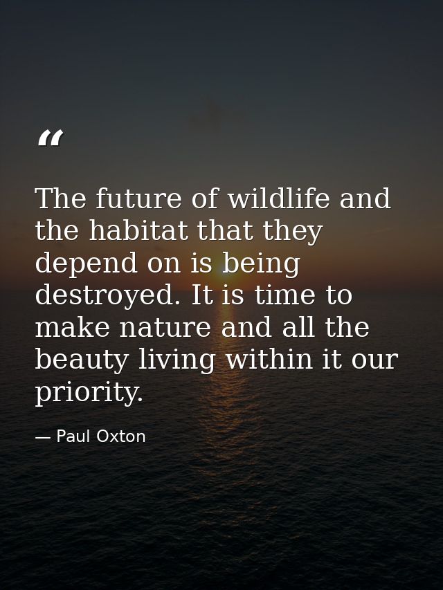 The future of wildlife and the habitat that they depend on is being destroyed. It is time to make nature and all the bea — Paul Oxton