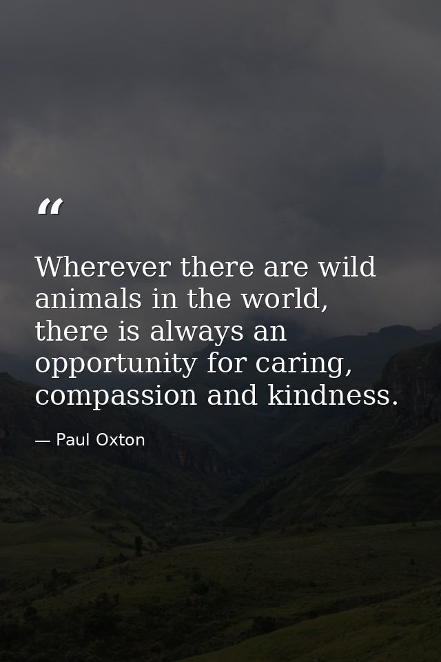 Wherever there are wild animals in the world, there is always an opportunity for caring, compassion and kindness. — Paul Oxton