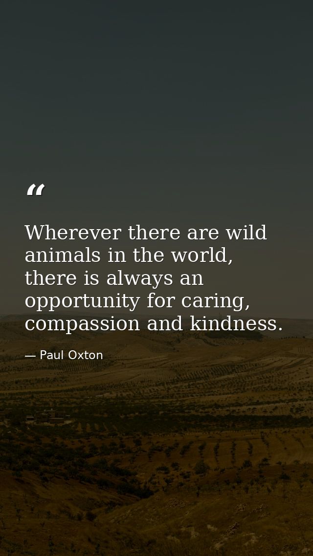 Wherever there are wild animals in the world, there is always an opportunity for caring, compassion and kindness. — Paul Oxton
