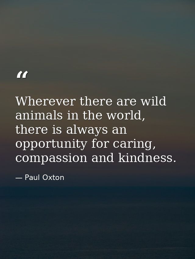 Wherever there are wild animals in the world, there is always an opportunity for caring, compassion and kindness. — Paul Oxton