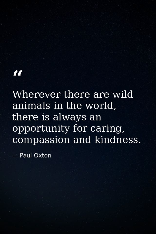 Wherever there are wild animals in the world, there is always an opportunity for caring, compassion and kindness. — Paul Oxton