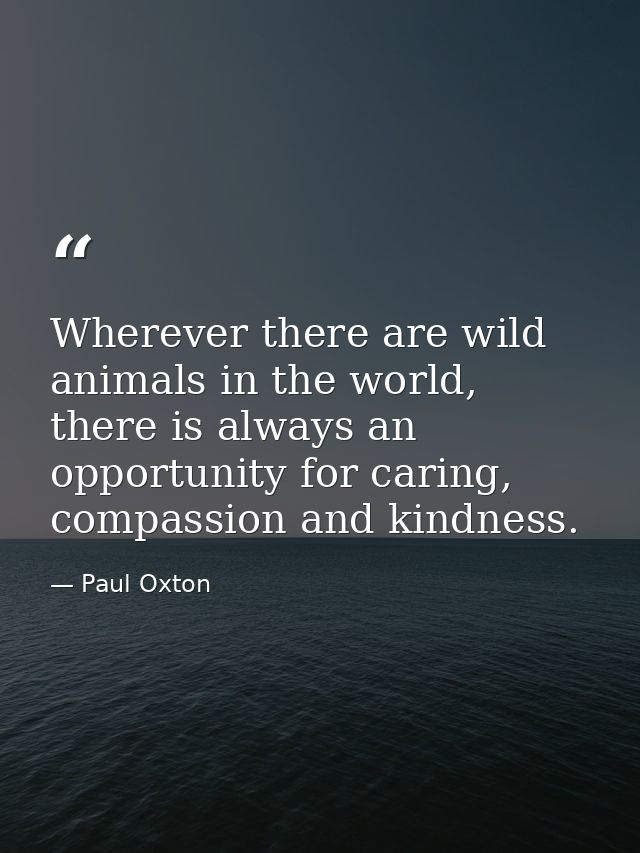 Wherever there are wild animals in the world, there is always an opportunity for caring, compassion and kindness. — Paul Oxton