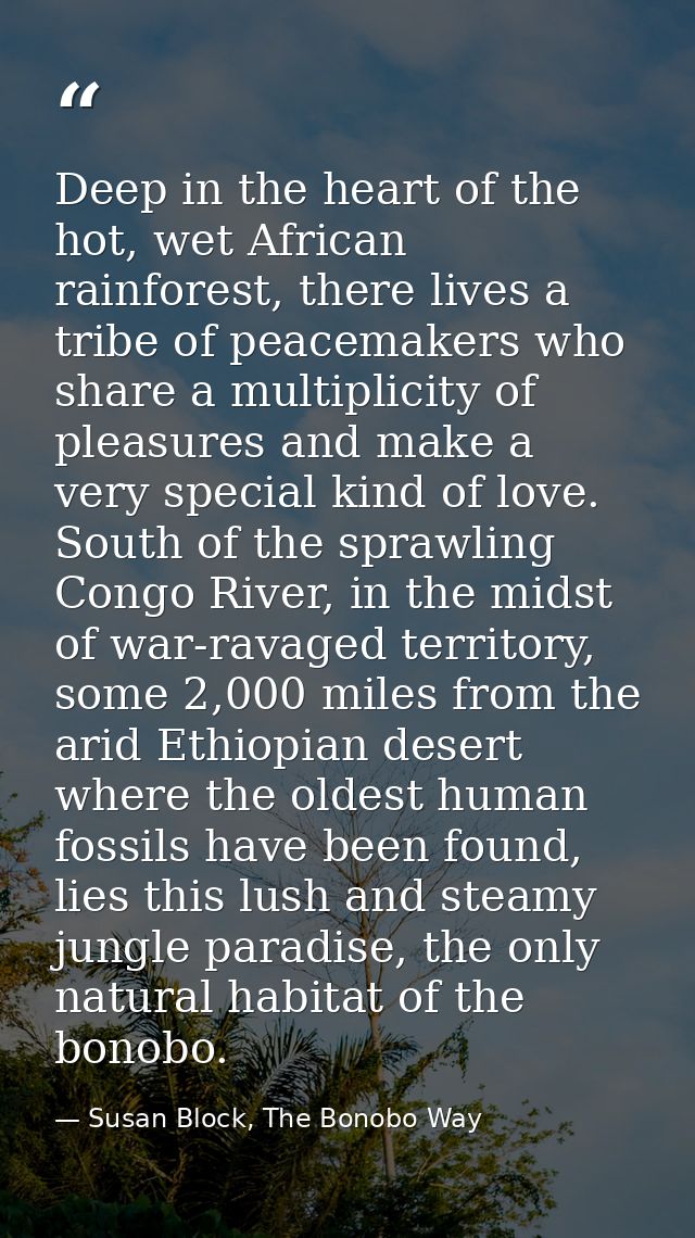 Deep in the heart of the hot, wet African rainforest, there lives a tribe of peacemakers who share a multiplicity of ple — Susan Block, The Bonobo Way