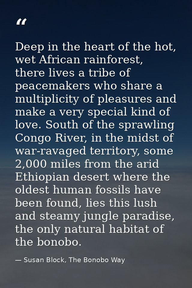 Deep in the heart of the hot, wet African rainforest, there lives a tribe of peacemakers who share a multiplicity of ple — Susan Block, The Bonobo Way