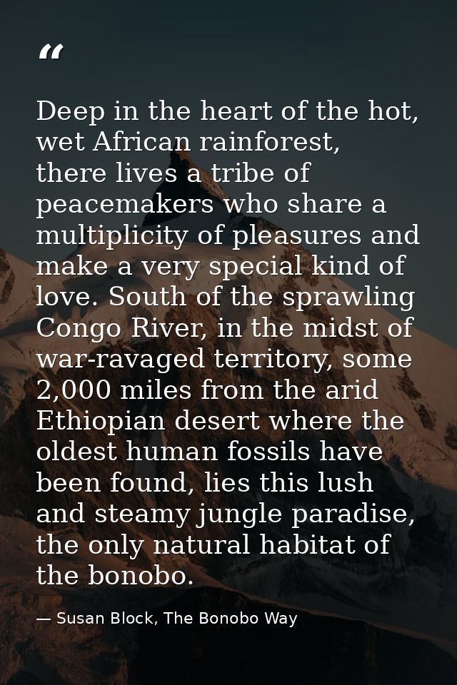 Deep in the heart of the hot, wet African rainforest, there lives a tribe of peacemakers who share a multiplicity of ple — Susan Block, The Bonobo Way