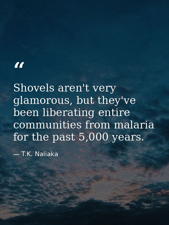 Shovels aren't very glamorous, but they've been liberating entire communities from malaria for the past 5,000 years. — T.K. Naliaka