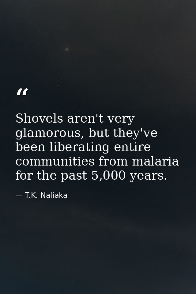Shovels aren't very glamorous, but they've been liberating entire communities from malaria for the past 5,000 years. — T.K. Naliaka