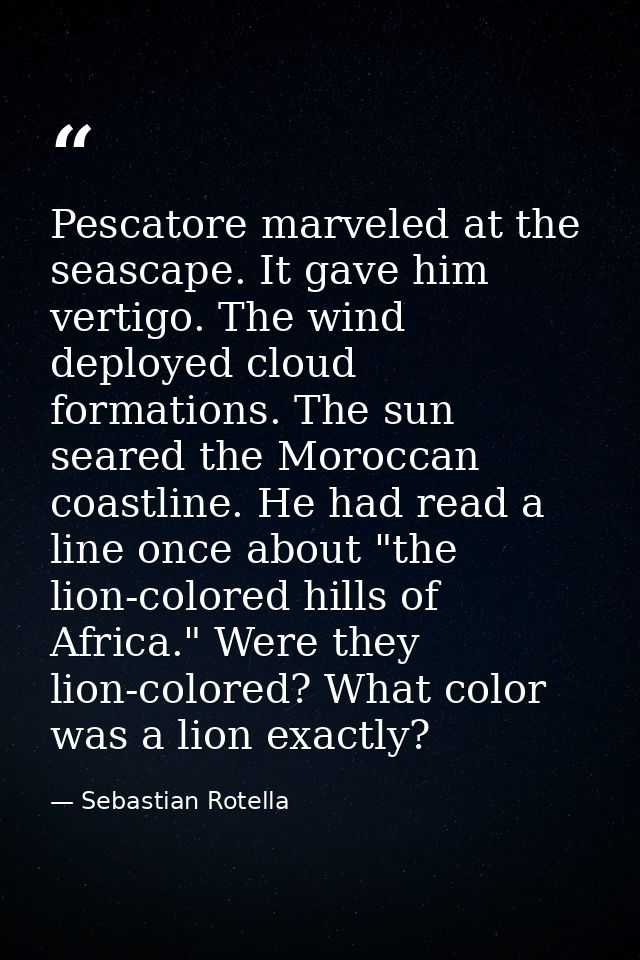Pescatore marveled at the seascape. It gave him vertigo. The wind deployed cloud formations. The sun seared the Moroccan — Sebastian Rotella