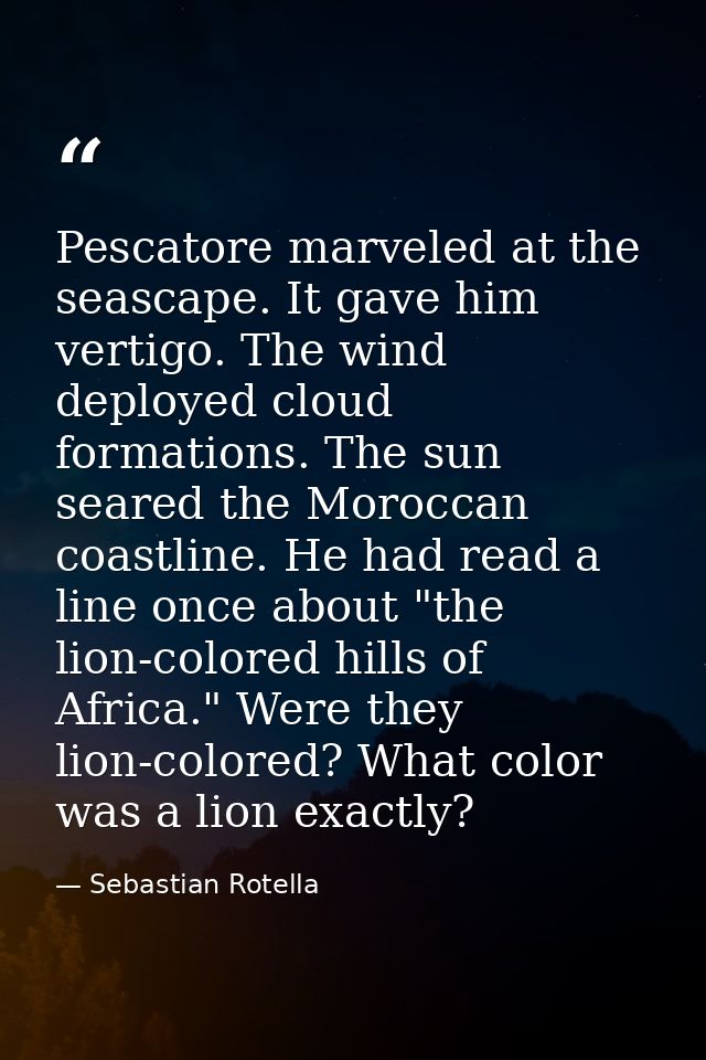 Pescatore marveled at the seascape. It gave him vertigo. The wind deployed cloud formations. The sun seared the Moroccan — Sebastian Rotella