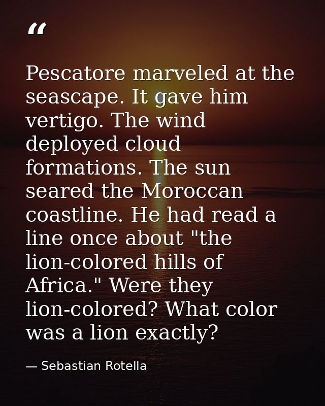 Pescatore marveled at the seascape. It gave him vertigo. The wind deployed cloud formations. The sun seared the Moroccan — Sebastian Rotella