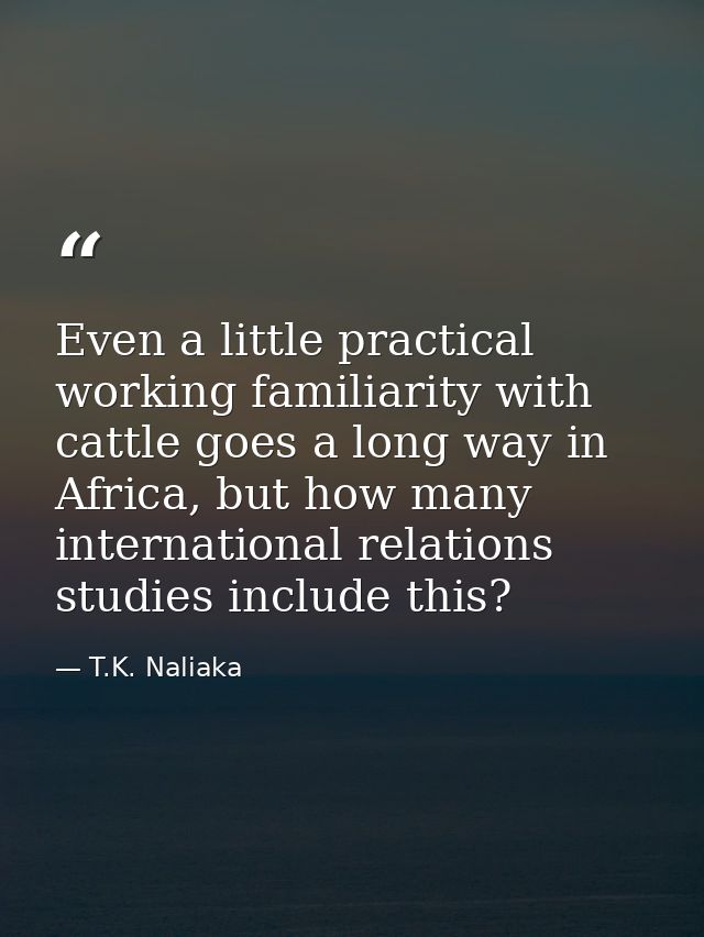Even a little practical working familiarity with cattle goes a long way in Africa, but how many international relations  — T.K. Naliaka