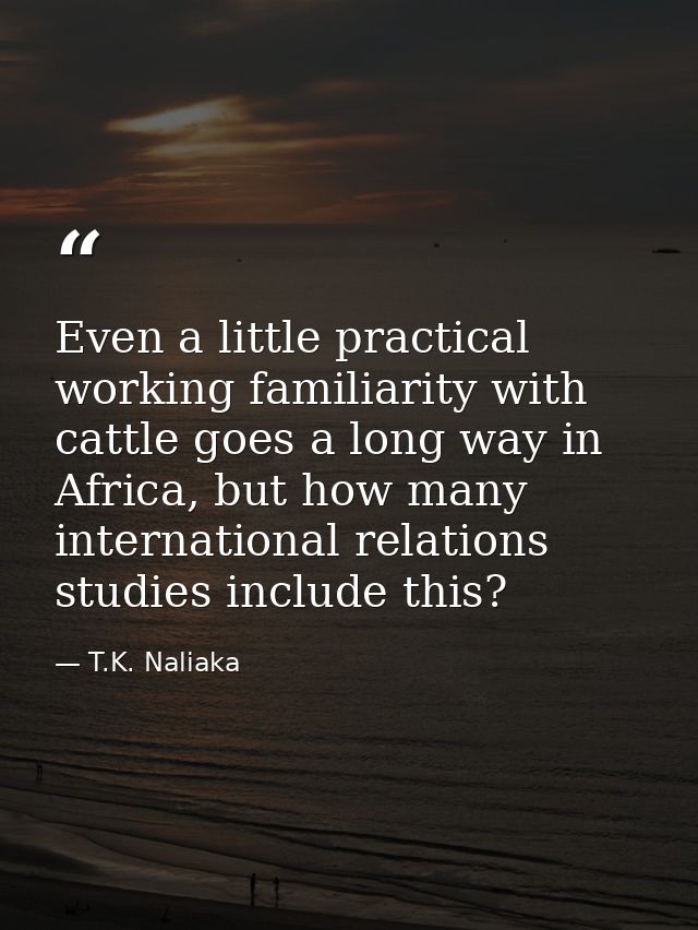 Even a little practical working familiarity with cattle goes a long way in Africa, but how many international relations  — T.K. Naliaka