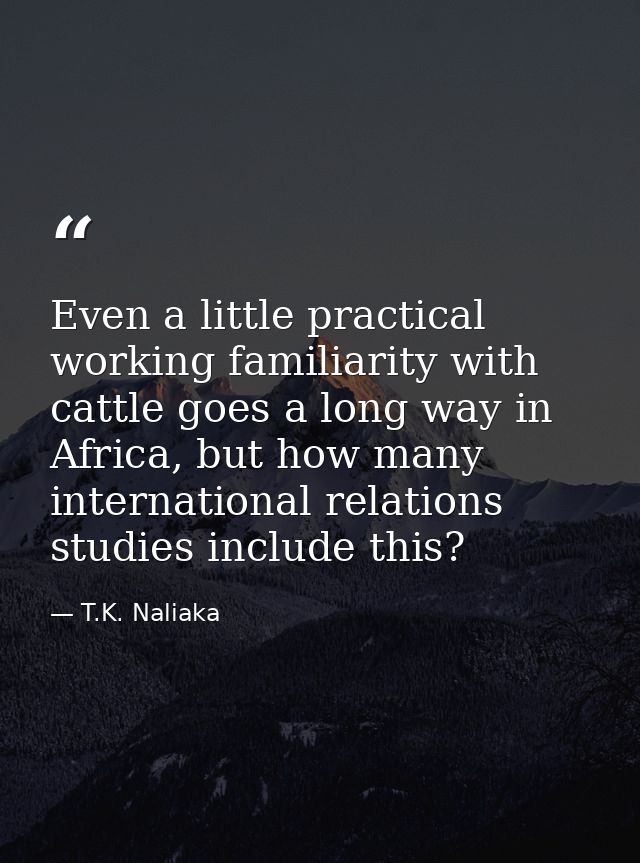 Even a little practical working familiarity with cattle goes a long way in Africa, but how many international relations  — T.K. Naliaka