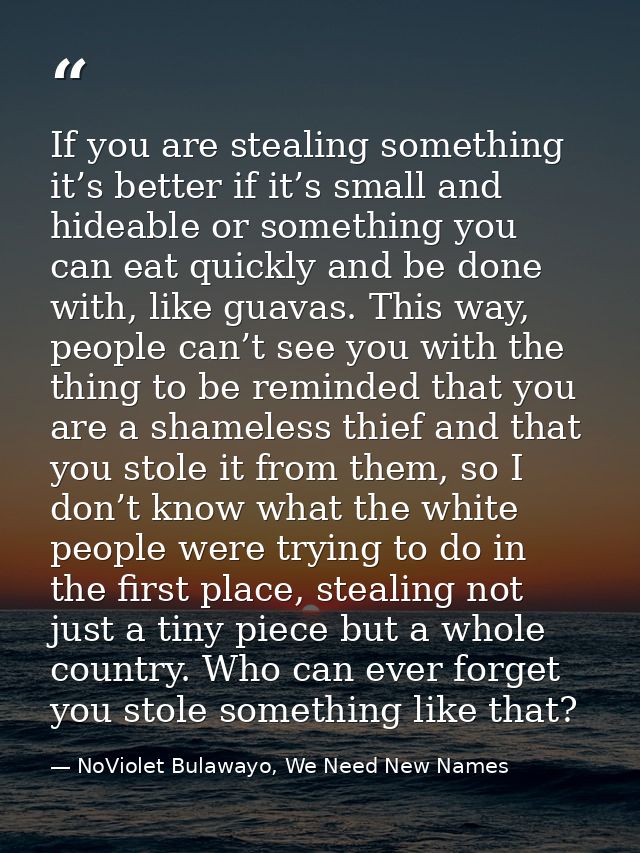 If you are stealing something it’s better if it’s small and hideable or something you can eat quickly and be done with,  — NoViolet Bulawayo, We Need New Names