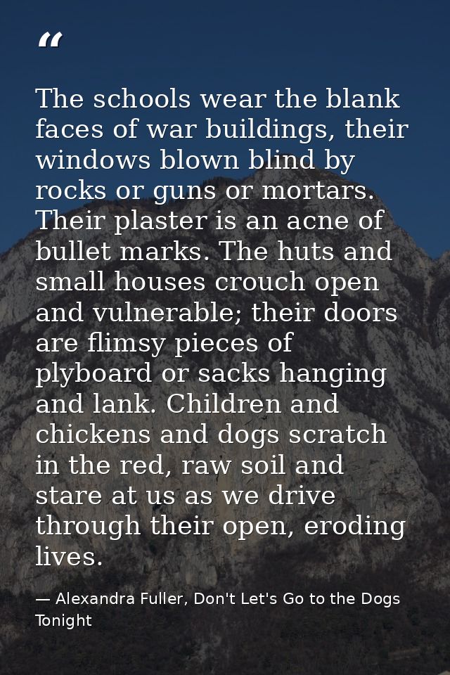 The schools wear the blank faces of war buildings, their windows blown blind by rocks or guns or mortars. Their plaster  — Alexandra Fuller, Don't Let's Go to the Dogs Tonight