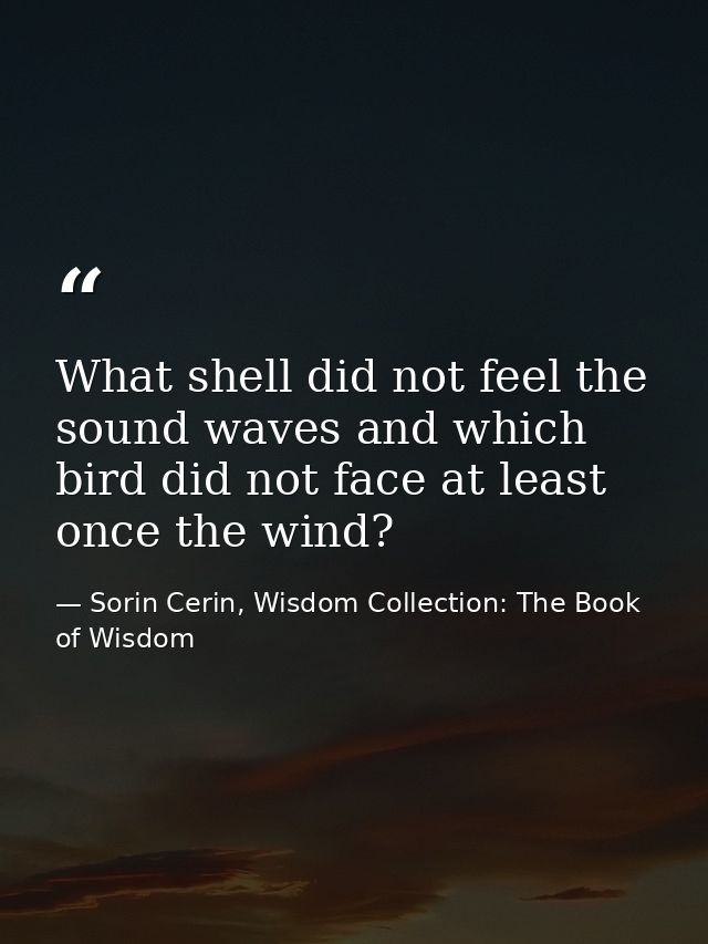 What shell did not feel the sound waves and which bird did not face at least once the wind? — Sorin Cerin, Wisdom Collection: The Book of Wisdom