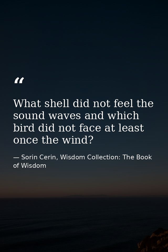 What shell did not feel the sound waves and which bird did not face at least once the wind? — Sorin Cerin, Wisdom Collection: The Book of Wisdom