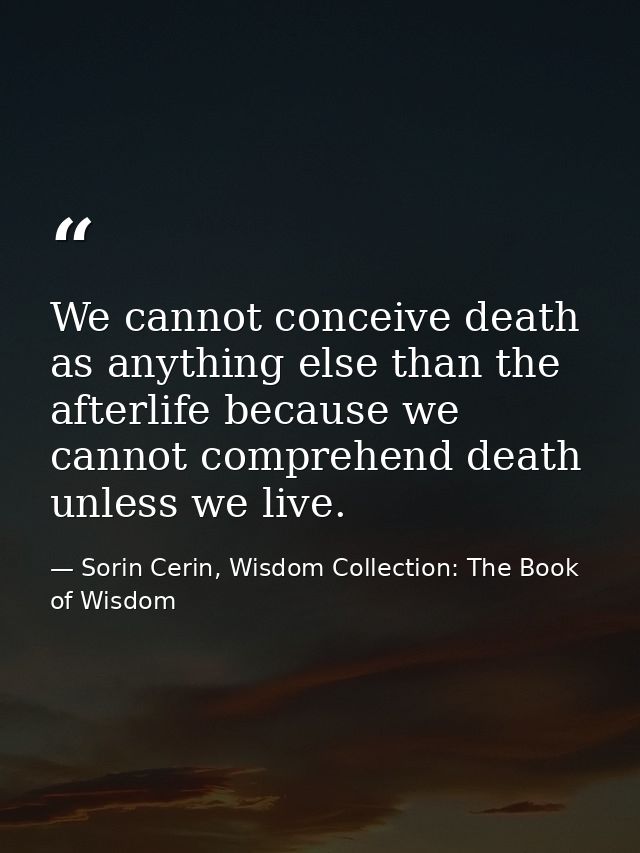 We cannot conceive death as anything else than the afterlife because we cannot comprehend death unless we live. — Sorin Cerin, Wisdom Collection: The Book of Wisdom