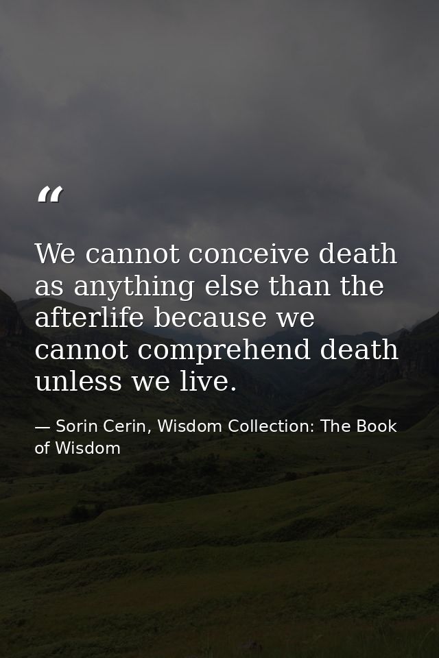We cannot conceive death as anything else than the afterlife because we cannot comprehend death unless we live. — Sorin Cerin, Wisdom Collection: The Book of Wisdom