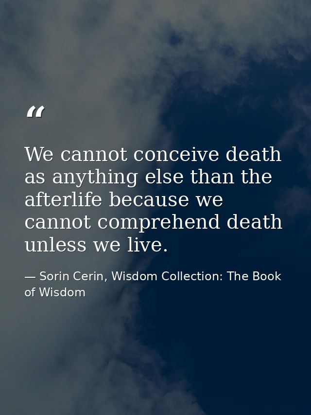 We cannot conceive death as anything else than the afterlife because we cannot comprehend death unless we live. — Sorin Cerin, Wisdom Collection: The Book of Wisdom