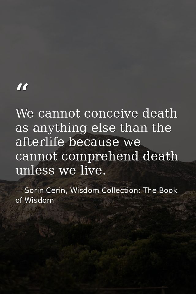 We cannot conceive death as anything else than the afterlife because we cannot comprehend death unless we live. — Sorin Cerin, Wisdom Collection: The Book of Wisdom