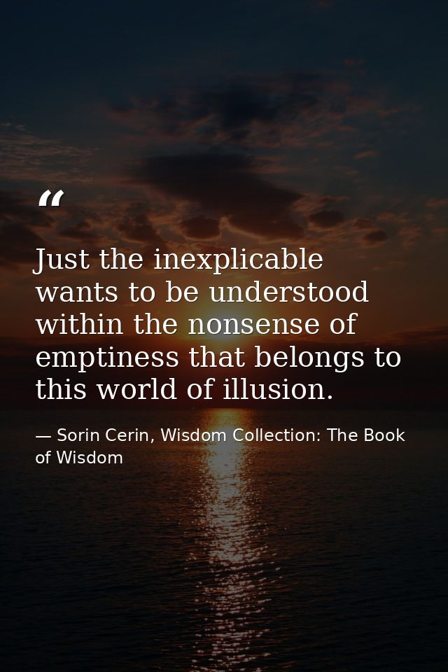 Just the inexplicable wants to be understood within the nonsense of emptiness that belongs to this world of illusion. — Sorin Cerin, Wisdom Collection: The Book of Wisdom