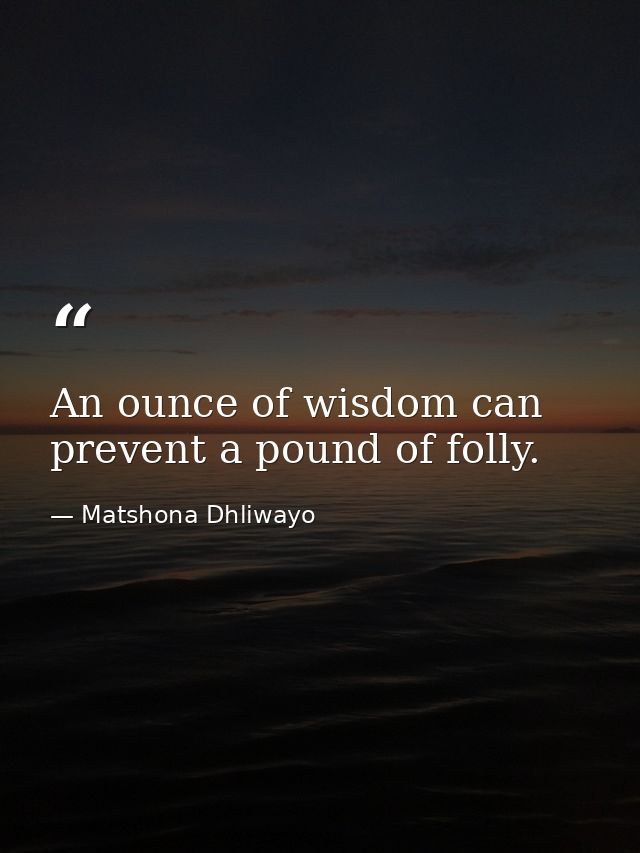 An ounce of wisdom can prevent a pound of folly. — Matshona Dhliwayo